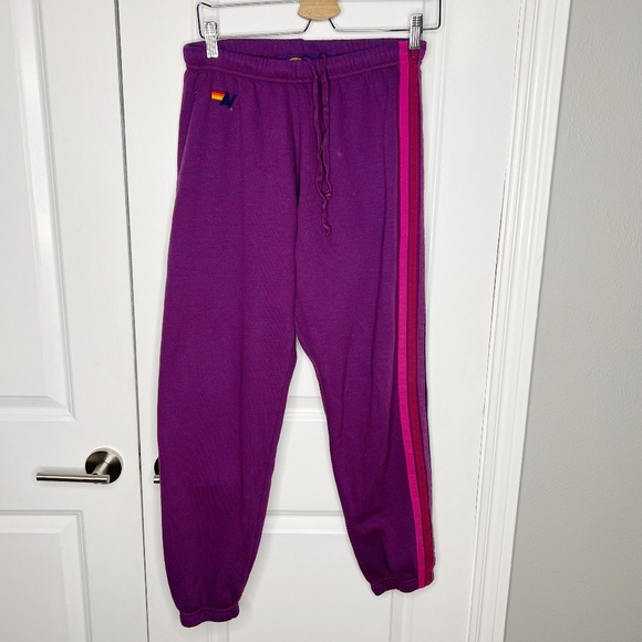 Aviator Nation Pants - Aviator Nation Purple 5 stripe SweatPant Size M Stripe Pink Blue